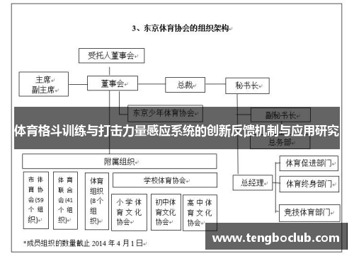 体育格斗训练与打击力量感应系统的创新反馈机制与应用研究