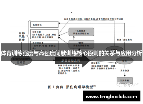 体育训练强度与高强度间歇训练核心原则的关系与应用分析